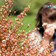 Image for article titled Do Allergies Raise Risk of Mental Illness? New Study Finds No Causal Link